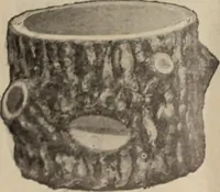 An illustration from Crockery & glass journal (1875)