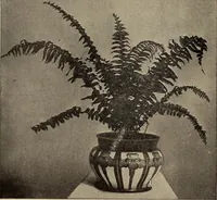 Picture 6 of 162 from Crockery & glass journal (1875), leaf 11
