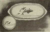 An illustration from Crockery & glass journal (1875)