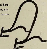An illustration from Crockery & glass journal (1875)