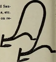 An illustration from Crockery & glass journal (1875)