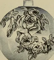 An illustration from Crockery & glass journal (1875)