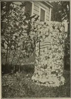 Picture 172 of 268 from Crockery & glass journal (1875), leaf 498