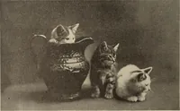 An illustration from Crockery & glass journal (1875)