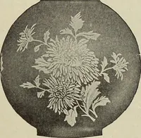 An illustration from Crockery & glass journal (1875)