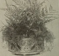 An illustration from Crockery & glass journal (1875)