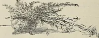 An illustration from Crockery & glass journal (1875)