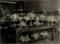 Picture 62 of 348 from Crockery & glass journal (1875), leaf 142