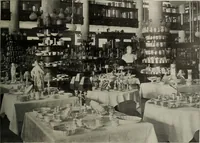 Picture 90 of 348 from Crockery & glass journal (1875), leaf 210