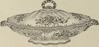 Picture 136 of 348 from Crockery & glass journal (1875), leaf 417