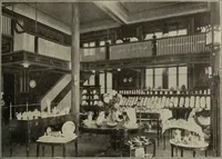 Picture 138 of 348 from Crockery & glass journal (1875), leaf 424