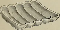 Picture 169 of 348 from Crockery & glass journal (1875), leaf 454