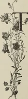 Picture 187 of 348 from Crockery & glass journal (1875), leaf 485
