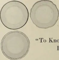 Picture 193 of 348 from Crockery & glass journal (1875), leaf 495