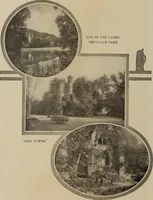 Picture 238 of 348 from Crockery & glass journal (1875), leaf 565
