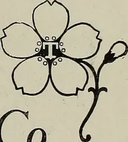 Picture 295 of 348 from Crockery & glass journal (1875), leaf 620