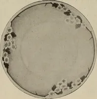 Picture 3 of 348 from Crockery & glass journal (1875), leaf 9