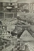 Picture 35 of 284 from Crockery & glass journal (1875), leaf 138