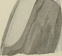 Picture 32 of 137 from Crockery & glass journal (1875), leaf 147