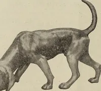 An illustration from Crockery & glass journal (1875)