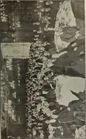 Picture 11 of 137 from Crockery & glass journal (1875), leaf 42