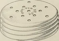 Picture 160 of 331 from Crockery & glass journal (1875), leaf 469