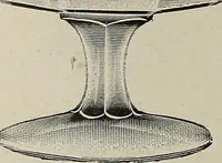 Picture 173 of 331 from Crockery & glass journal (1875), leaf 477