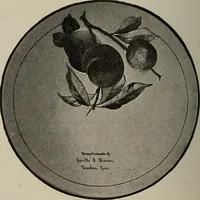Picture 274 of 331 from Crockery & glass journal (1875), leaf 589