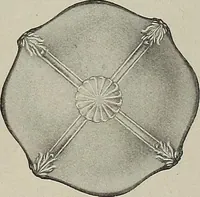 Picture 284 of 331 from Crockery & glass journal (1875), leaf 600