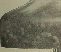 An illustration from Crockery & glass journal (1875)