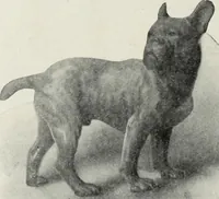 An illustration from Crockery & glass journal (1875)