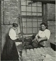 Picture 137 of 241 from Crockery & glass journal (1875), leaf 403