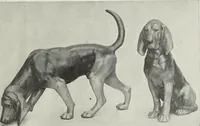An illustration from Crockery & glass journal (1875)