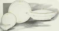 Picture 207 of 241 from Crockery & glass journal (1875), leaf 486