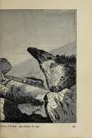 Picture 4 of 14 from Crofutt's new Overland tourist, and Pacific Coast guide ... over the Union, Kansas, Central and Southern Pacific Railroads, their branches and connections, by rail, water and stage .. (1883), leaf 111