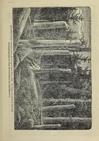 An illustration from Crofutt's trans-continental tourist's guide : containing a full and authentic description of over five hundred cities, towns, villages, stations, government forts and camps, mountains, lakes, rivers, sulphur, soda and hot springs, scenery, watering places, summer resorts ... : over the Union Pacific railroad, Central Pacific railroad of Cal., their branches and connections by stage and water : from the Atlantic to the Pacific Ocean : illustrated (1872)