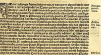 An illustration from Cronica de la Nueua España : con la conquista de Mexico, y otras cosas notables: hechas por el valeroso Hernando Cortes, . (1554)