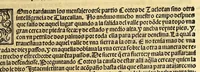 An illustration from Cronica de la Nueua España : con la conquista de Mexico, y otras cosas notables: hechas por el valeroso Hernando Cortes, . (1554)