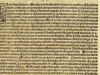 An illustration from Cronica de la Nueua España : con la conquista de Mexico, y otras cosas notables: hechas por el valeroso Hernando Cortes, . (1554)