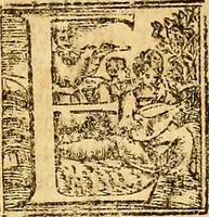 An illustration from Cronica del muy valeroso rey don Fernando, visnieto del sancto rey don Fernádo que gano a Seuilla : Nieto del rey dõ Alonso que fue par [?] emperador, [?] hizo el libro de las Sicte partidas y fue hijo del rey dõ Sancho el B[?]auo : Cuyas cronicas estan impressas : [?] y fue padre del rey dõ Alõso Onzeno q gano las Algeziras : Y abuelo del rey don Pedro : Cuyas cronicas tambie estan impressas : Este es el rey don Fernado que dizen que murio emplazado de los Caruajales (1554)
