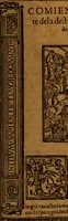 An illustration from Cronica del rey don Rodrigo con la destruycion de España : y como los moros la ganaron (1587)