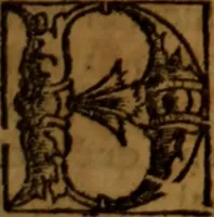 An illustration from Cronica del rey don Rodrigo con la destruycion de España : y como los moros la ganaron (1587)