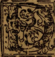 An illustration from Cronica del rey don Rodrigo con la destruycion de España : y como los moros la ganaron (1587)