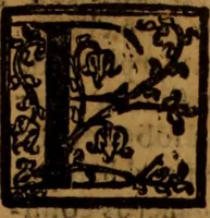 An illustration from Cronica del rey don Rodrigo con la destruycion de España : y como los moros la ganaron (1587)