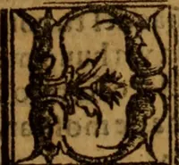 An illustration from Cronica del rey don Rodrigo con la destruycion de España : y como los moros la ganaron (1587)