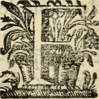 Picture 44 of 109 from Cronicas delrey d Ioam de gloriosa memoria o I. deste nome, e dos reys de Portugal o X. e as dos reys D. Duarte, e D. Affonso o V. ... : tiradas a luz por ordem do il.mo, e r.mo senhor Dom Rodrigo da Cunha. arcebispo de Lisboa ... e Autos do levantamento, e iuromentos delrey n.s. D. Ioam o IV (1643), leaf 321