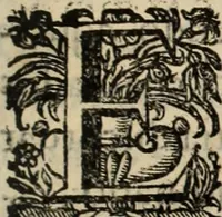 An illustration from Cronicas delrey d Ioam de gloriosa memoria o I. deste nome, e dos reys de Portugal o X. e as dos reys D. Duarte, e D. Affonso o V. ... : tiradas a luz por ordem do il.mo, e r.mo senhor Dom Rodrigo da Cunha. arcebispo de Lisboa ... e Autos do levantamento, e iuromentos delrey n.s. D. Ioam o IV (1643)