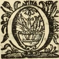 Picture 54 of 109 from Cronicas delrey d Ioam de gloriosa memoria o I. deste nome, e dos reys de Portugal o X. e as dos reys D. Duarte, e D. Affonso o V. ... : tiradas a luz por ordem do il.mo, e r.mo senhor Dom Rodrigo da Cunha. arcebispo de Lisboa ... e Autos do levantamento, e iuromentos delrey n.s. D. Ioam o IV (1643), leaf 415