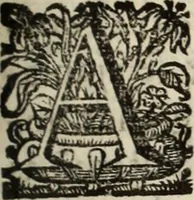 Picture 63 of 109 from Cronicas delrey d Ioam de gloriosa memoria o I. deste nome, e dos reys de Portugal o X. e as dos reys D. Duarte, e D. Affonso o V. ... : tiradas a luz por ordem do il.mo, e r.mo senhor Dom Rodrigo da Cunha. arcebispo de Lisboa ... e Autos do levantamento, e iuromentos delrey n.s. D. Ioam o IV (1643), leaf 458