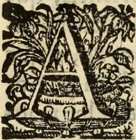An illustration from Cronicas delrey d Ioam de gloriosa memoria o I. deste nome, e dos reys de Portugal o X. e as dos reys D. Duarte, e D. Affonso o V. ... : tiradas a luz por ordem do il.mo, e r.mo senhor Dom Rodrigo da Cunha. arcebispo de Lisboa ... e Autos do levantamento, e iuromentos delrey n.s. D. Ioam o IV (1643)